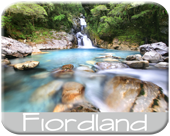 Fiordland Photography Portfolio